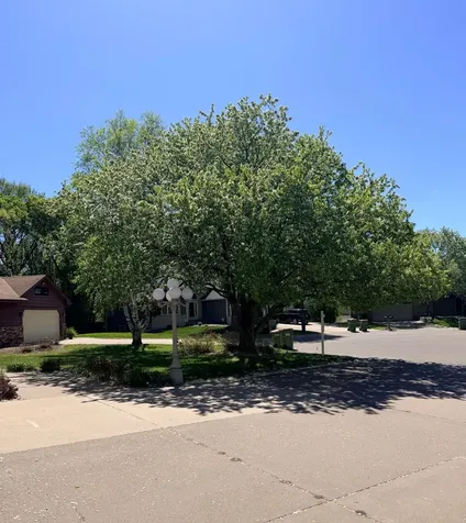 8057 Garfield Street NE Spring Lake Park MN 55432