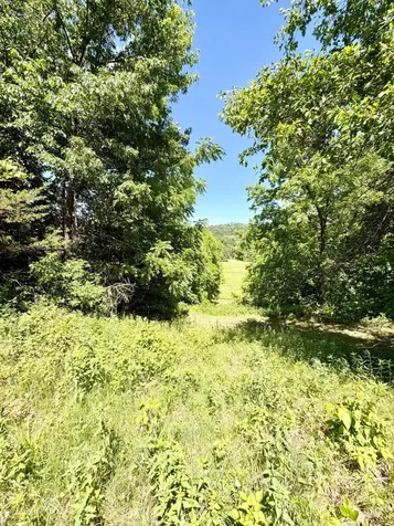 28895 Belle Creek Way Welch MN 55089
