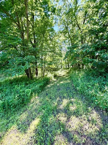 28895 Belle Creek Way Welch MN 55089