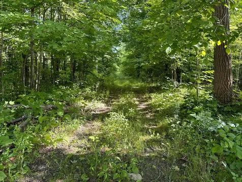Tbd County Highway 26 Rochert MN 56578