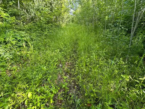 Tbd County Highway 26 Rochert MN 56578