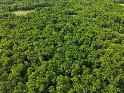 Tbd County Highway 26 Rochert MN 56578