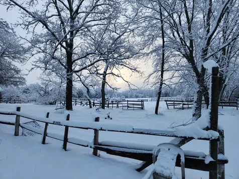 251X 183rd Ave NE East Bethel MN 55092