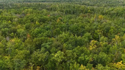57919 Hay Creek Road Sandstone MN 55072