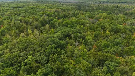 57919 Hay Creek Road Sandstone MN 55072