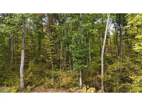 57919 Hay Creek Road Sandstone MN 55072