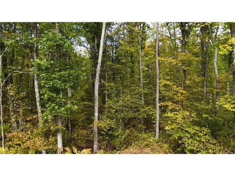 57919 Hay Creek Road Sandstone MN 55072