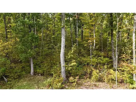 57919 Hay Creek Road Sandstone MN 55072