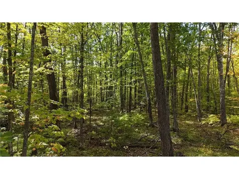 57919 Hay Creek Road Sandstone MN 55072