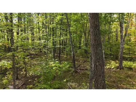 57919 Hay Creek Road Sandstone MN 55072