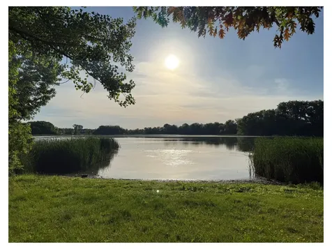 13160 Willandale Road Rogers MN 55374