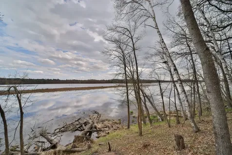 20482 Lord Road Merrifield MN 56465