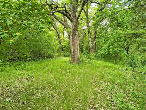 15808 County Road 49 Cold Spring MN 56320