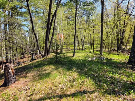 25315 Heartland Drive Nevis MN 56467