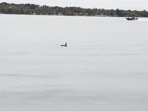 16634 Hightop Way NW Cass Lake MN 56633
