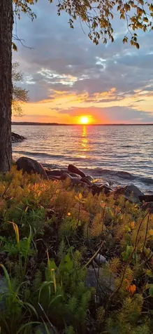 7524 Blue Water Beach Road NW Walker MN 56484