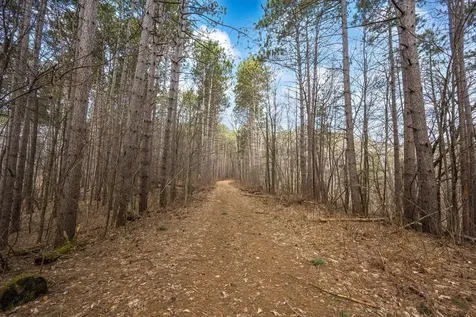 917 Sunrise Beach Drive Amery WI 54001