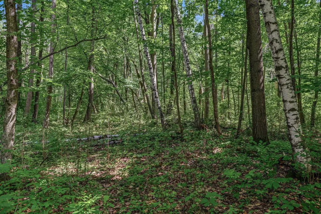 25179 Itasca Avenue Forest Lake MN 55025