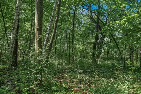 25179 Itasca Avenue Forest Lake MN 55025