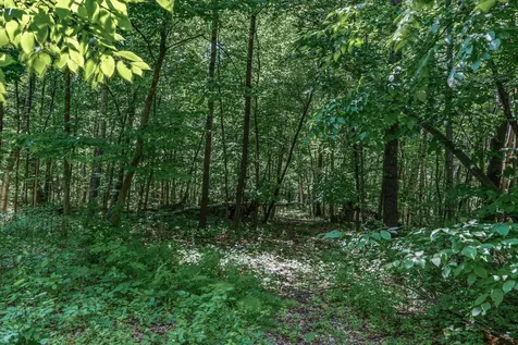 25179 Itasca Avenue Forest Lake MN 55025