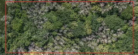 25179 Itasca Avenue Forest Lake MN 55025