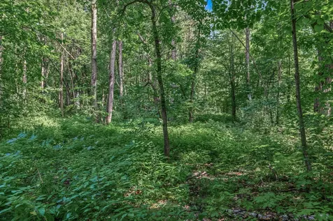 25179 Itasca Avenue Forest Lake MN 55025