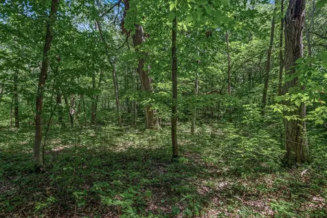 25XXX Itasca Avenue Forest Lake MN 55025