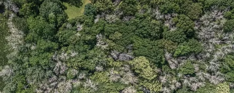 25XXX Itasca Avenue Forest Lake MN 55025