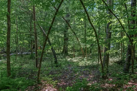 25XXX Itasca Avenue Forest Lake MN 55025