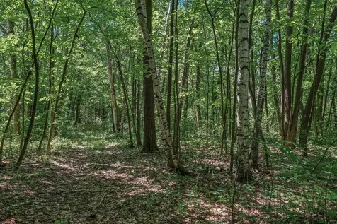 25XXX Itasca Avenue Forest Lake MN 55025