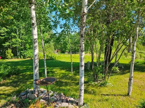 232 Scenic Estates Drive Bigfork MN 56628