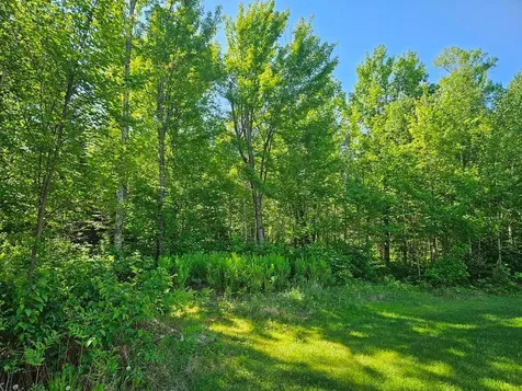 232 Scenic Estates Drive Bigfork MN 56628