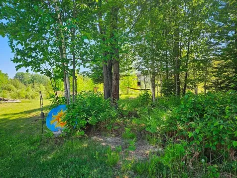 232 Scenic Estates Drive Bigfork MN 56628