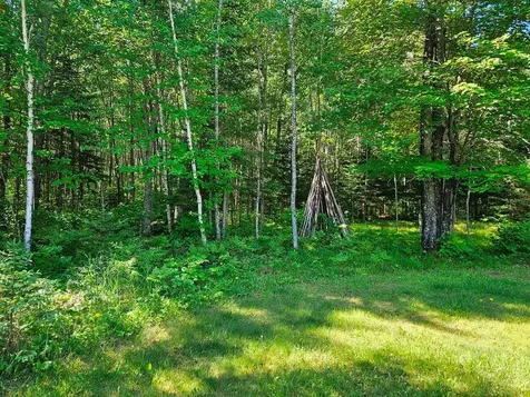 232 Scenic Estates Drive Bigfork MN 56628