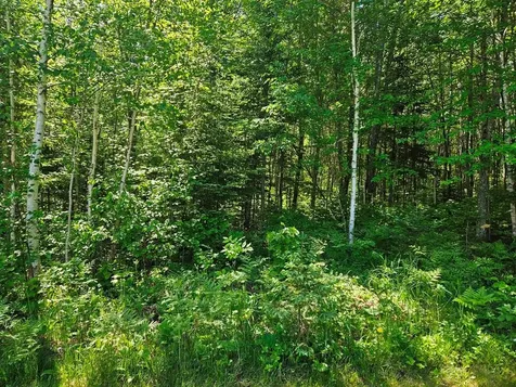 232 Scenic Estates Drive Bigfork MN 56628