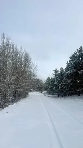 29284 Mchugh Road Detroit Lakes MN 56501