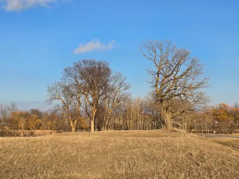 Lot 8 Branch Creek Road Detroit Lakes MN 56501