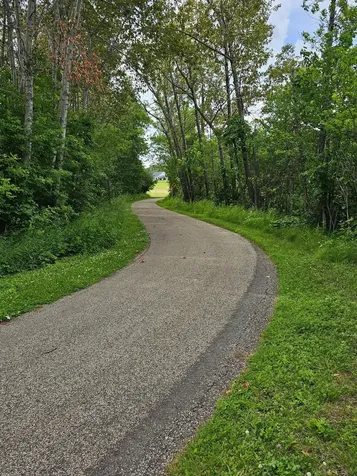 Lot 8 Branch Creek Road Detroit Lakes MN 56501