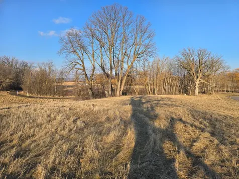Lot 8 Branch Creek Road Detroit Lakes MN 56501