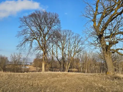 Lot 8 Branch Creek Road Detroit Lakes MN 56501