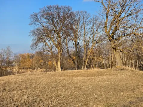 Lot 8 Branch Creek Road Detroit Lakes MN 56501