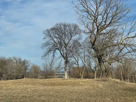 Lot 8 Branch Creek Road Detroit Lakes MN 56501
