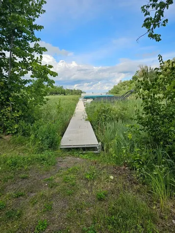 Lot 8 Branch Creek Road Detroit Lakes MN 56501