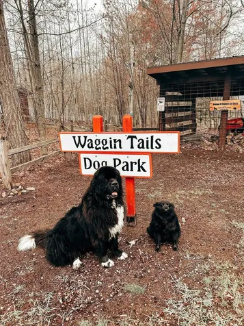 28931 Tall Moon Circle Danbury WI 54830