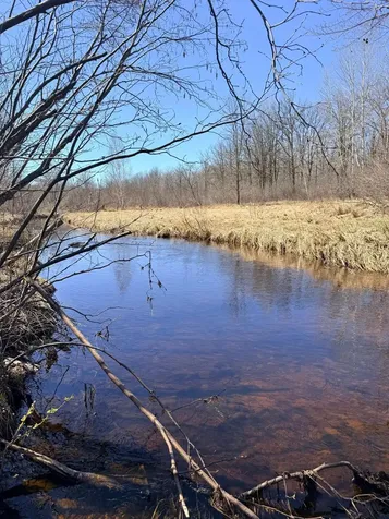 Xxx Rice Road Brook Park MN 55007