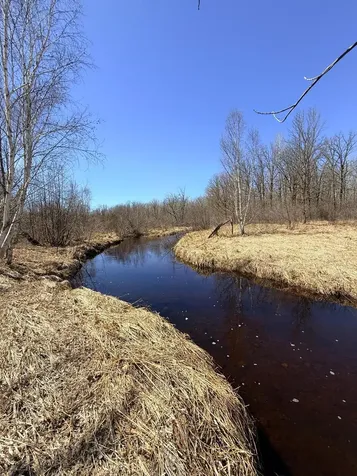 Xxx Rice Road Brook Park MN 55007