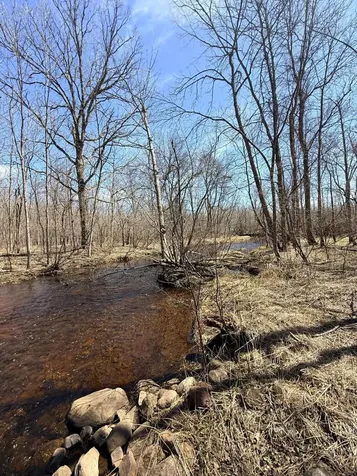 Xxx Rice Road Brook Park MN 55007