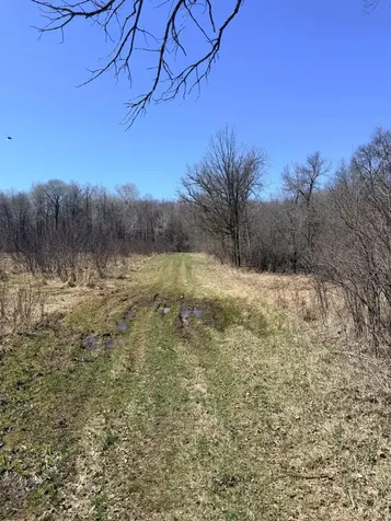 Xxx Rice Road Brook Park MN 55007