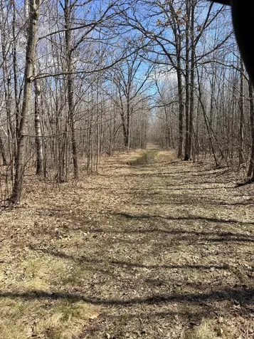 Xxx Rice Road Brook Park MN 55007