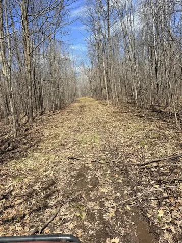 Xxx Rice Road Brook Park MN 55007